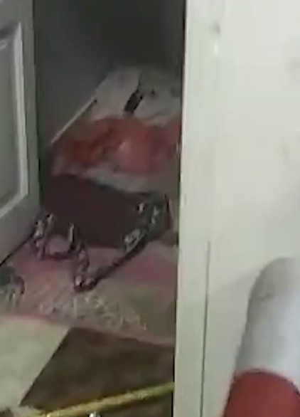 الأمن يكشف ملابسات فيديو مشاجرة بقنا وضبط طرفي الواقعة، فيتو