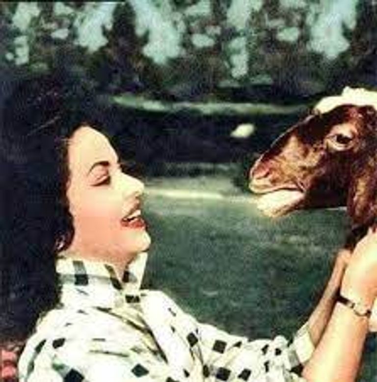 مديحة يسرى مع خروف العيد