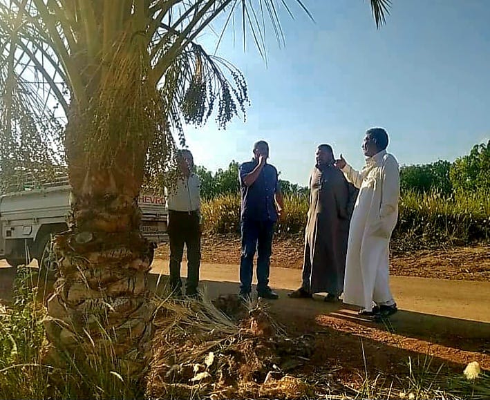 جانب من جولات المرور الميداني، فيتو
