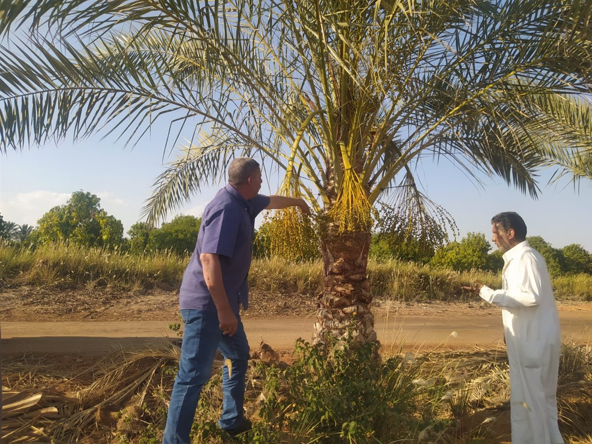 جانب من جولات المرور الميداني، فيتو
