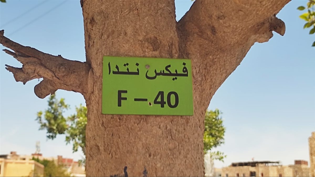 تكويد أشجار المبادرة بالإسماعيلية، فيتو