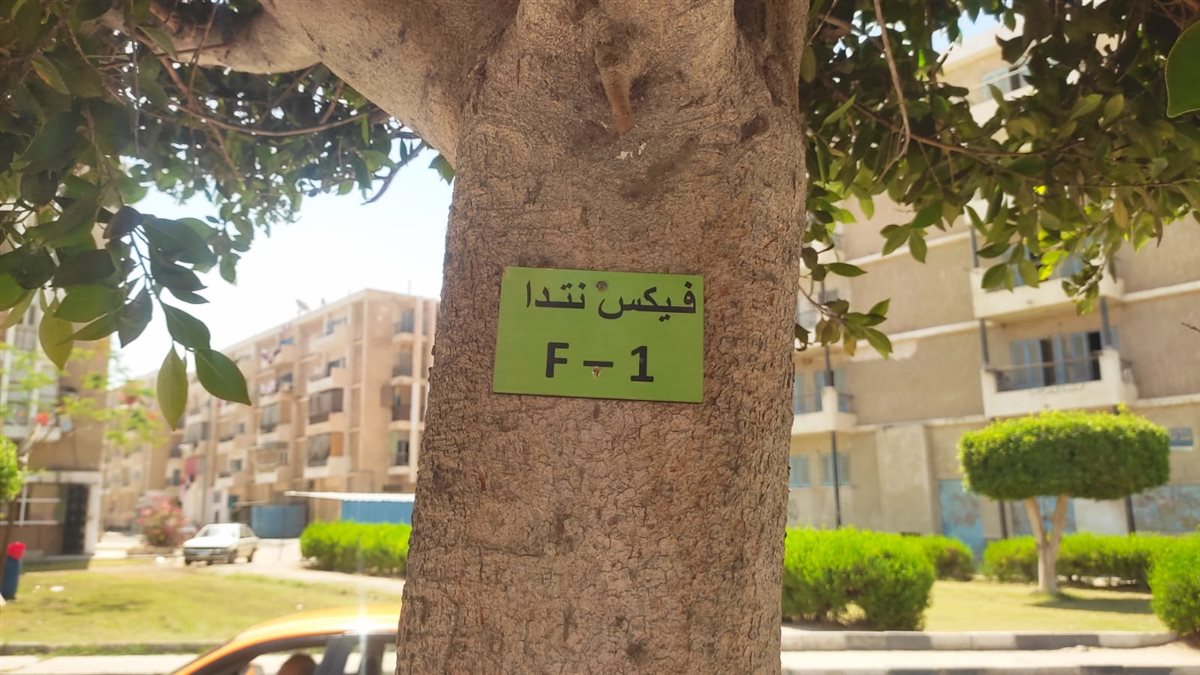 تكويد أشجار المبادرة بالإسماعيلية، فيتو