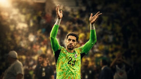 مصطفى شوبير