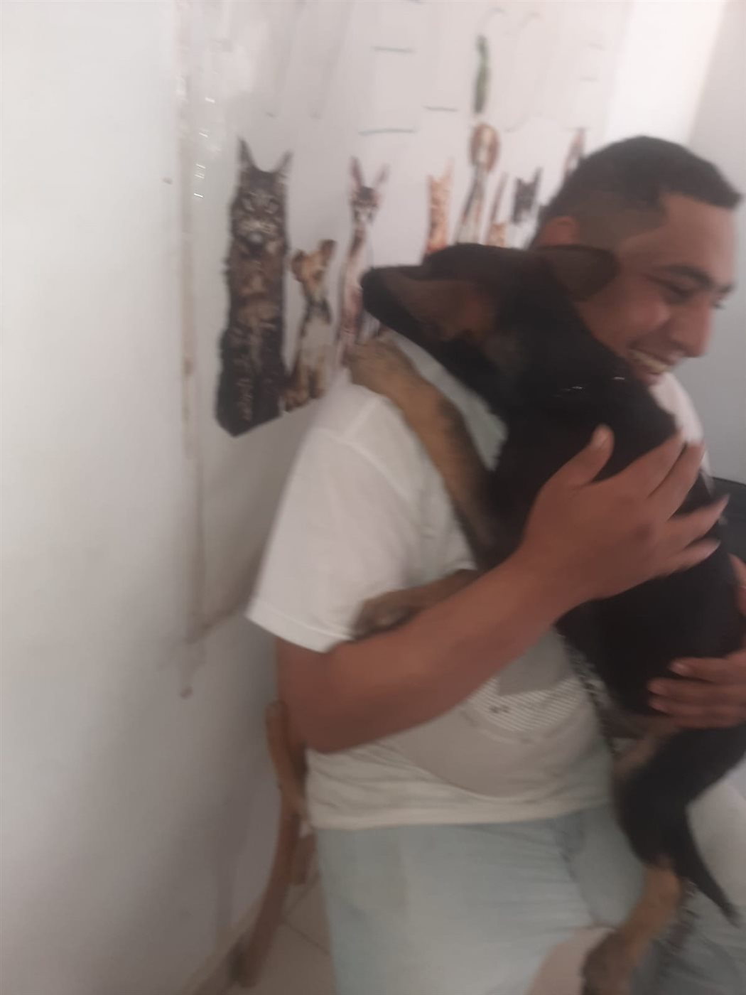 جانب من الخدمات،فيتو