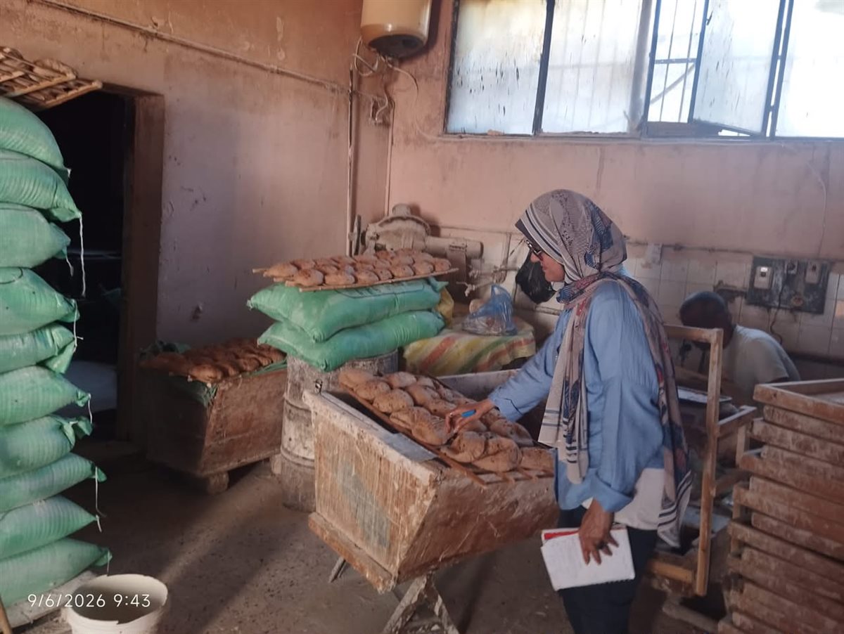 جانب من الحملات،فيتو