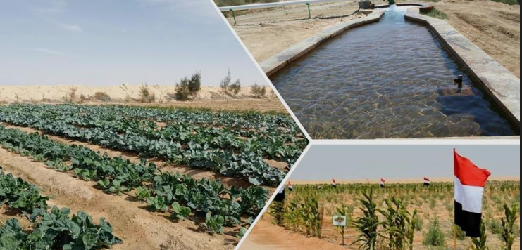 استهلاك المياه في المشروعات الزراعية في مصر، فيتو