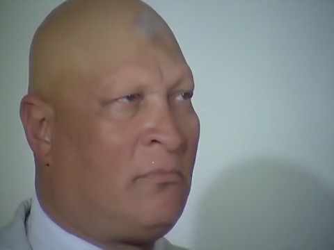 نصر سيف