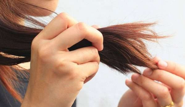 خلطة الزيوت الطبيعية لتحسين مظهر أطراف الشعر