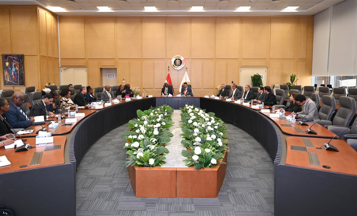 وزير الصناعة يبحث مع نظيره الجنوب إفريقي سبل التعاون المشترك