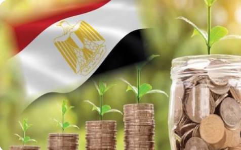 حل جذب وزيادة الاستثمار في مصر، فيتو
