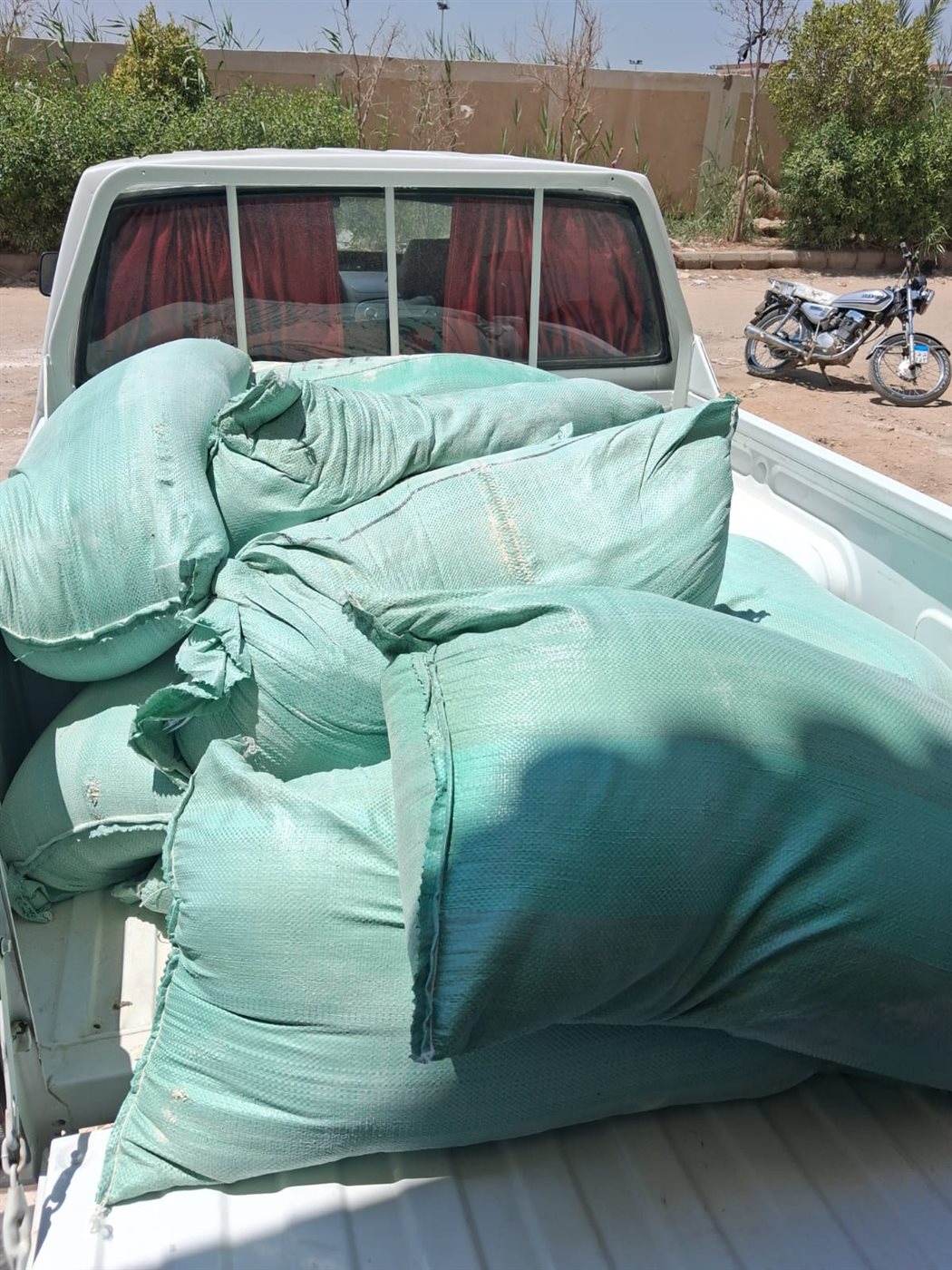 جانب من الحملات التموينية بالإسماعيلية، فيتو