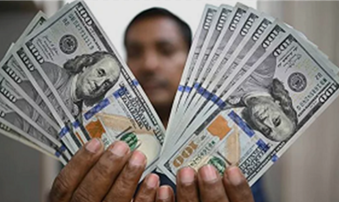 تراجع سعر الدولار مقابل الجنيه، فيتو