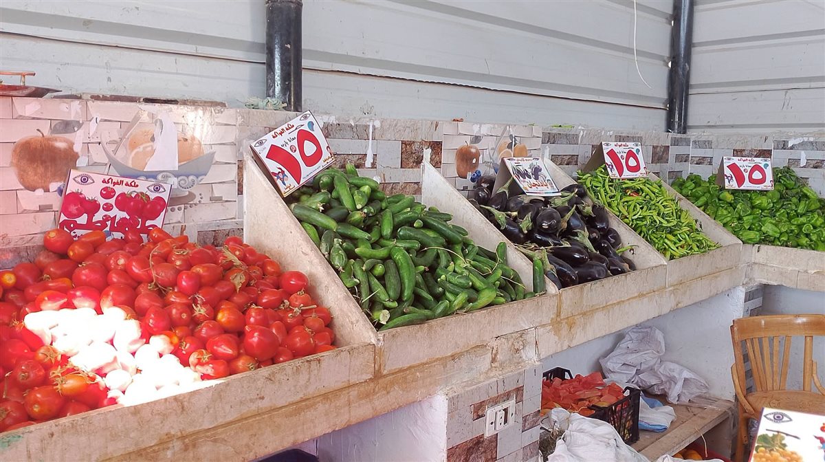 متابعة ميدانية لتوفير السلع المخفضة بمركز باريس في الوادى الجديد