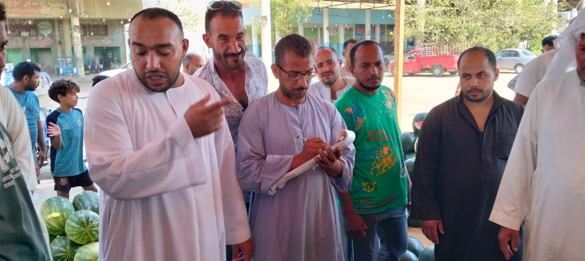 مزاد البطيخ بسوق المستقبل في الإسماعيلية، فيتو