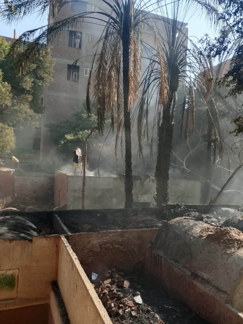 حريق بمقابر بهتيم شبرا الخيمة، فيتو