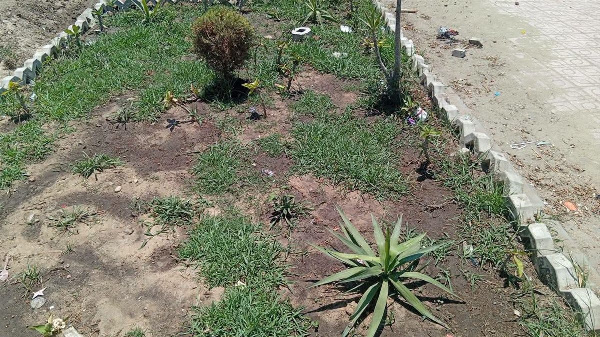 جهود مكثفة لتطوير ممشى كورنيش النيل بدمياط