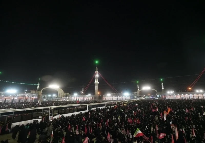 183.webp