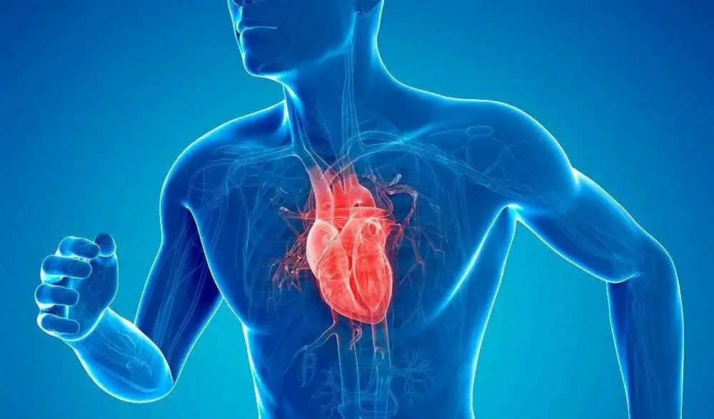 نقص الأملاح المعدنية يسبب أعراض تؤثر على القلب
