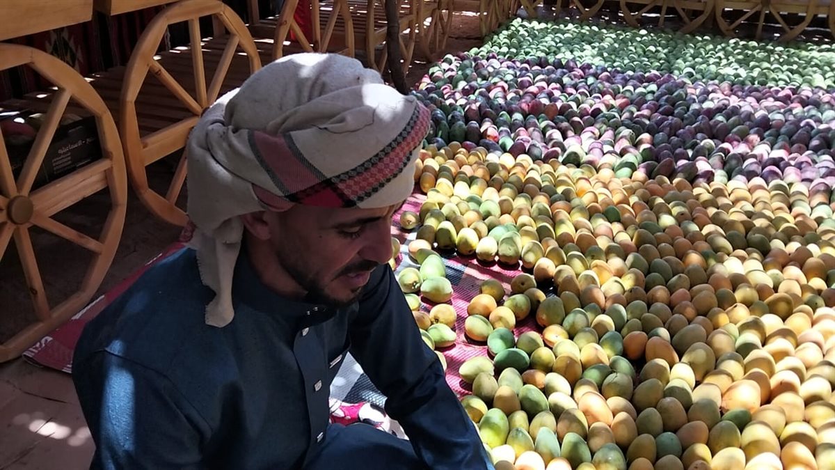 المانجو الإسماعيلاوي، فيتو