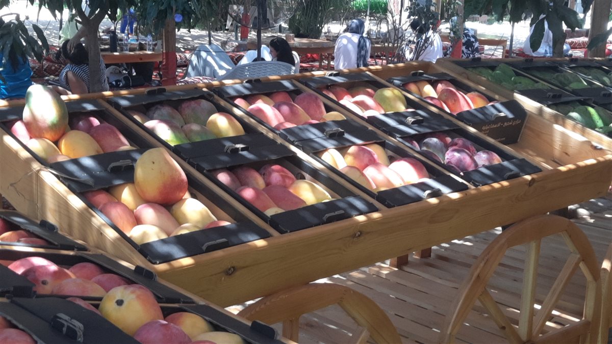 المانجو الإسماعيلاوي، فيتو