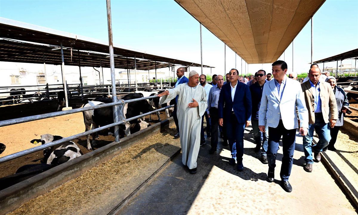 جولة رئيس الوزراء في &nbsp;مزرعة العمار لتنمية الثروة الحيوانية