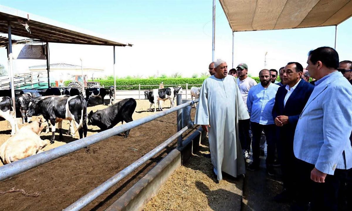 جولة رئيس الوزراء في مزرعة العمار لتنمية الثروة الحيوانية