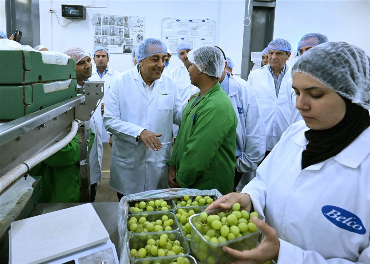 جولة رئيس مجلس الوزراء بالمشروعات الزراعية