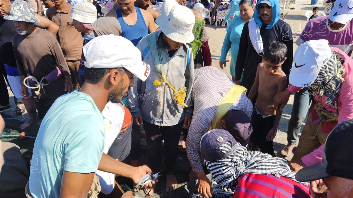 صيادو بورسعيد يصطادون السردين وسط فرحة المصطافين