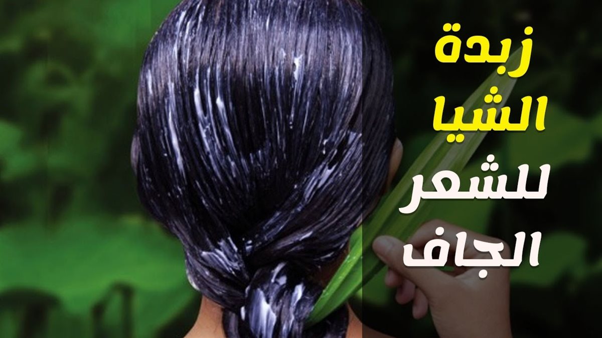 زبدة الشيا لتنعيم الشعر