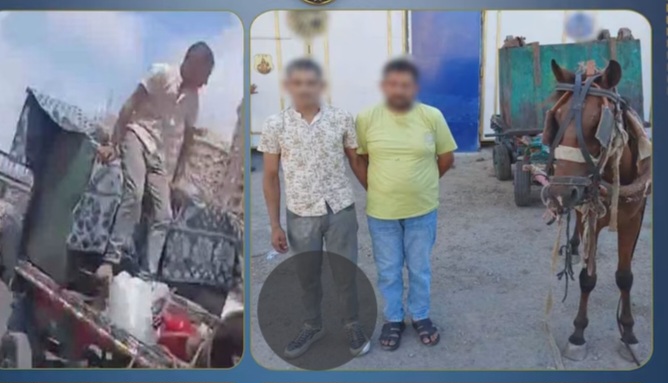 سرقا صندوق القمامة بعربة كارو.. سقوط عاطلين بحوزتهما متعلقات إحدى شركات النظافة بالإسكندرية