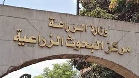 مركز البحوث الزراعية