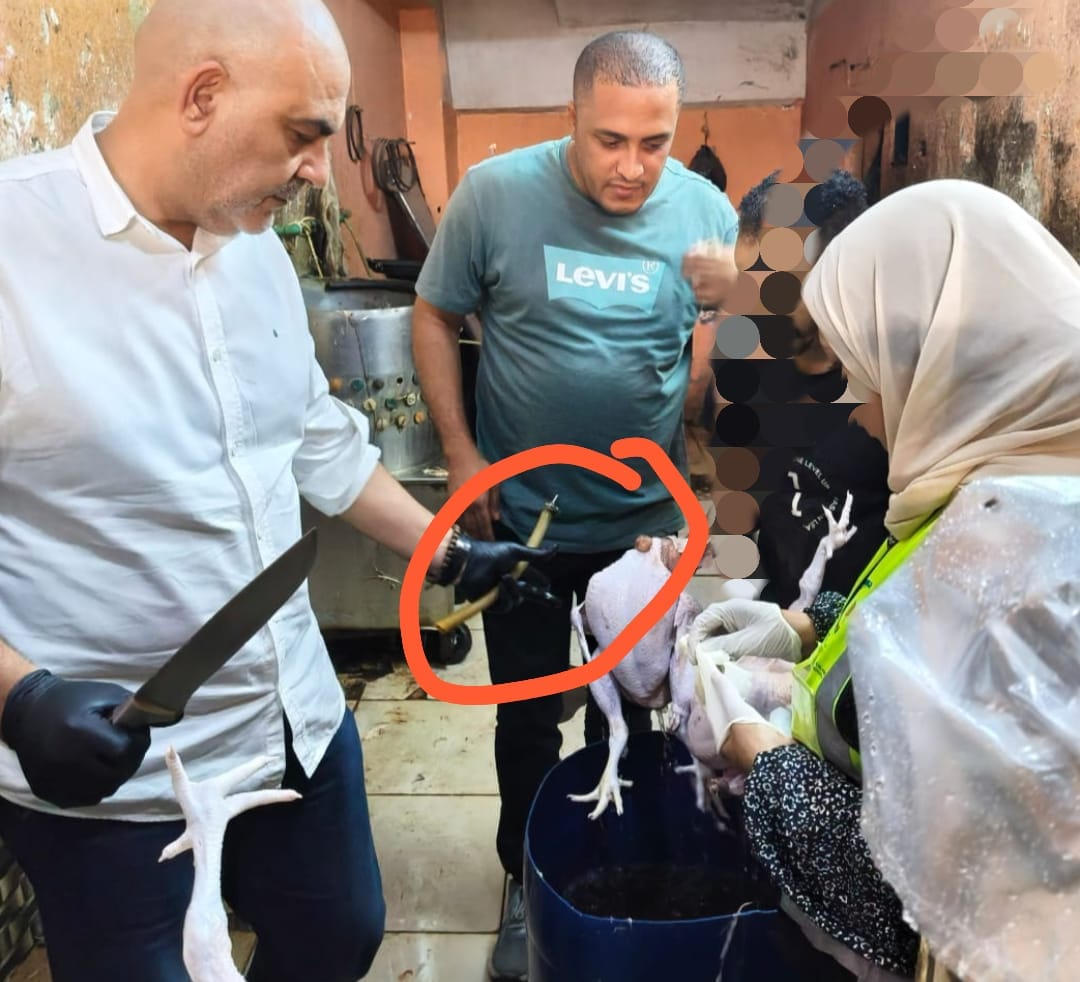 بيطري القليوبية يضبط دواجن غير صالحة، فيتو&nbsp;