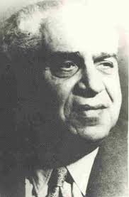 محمد حسن الشجاعى