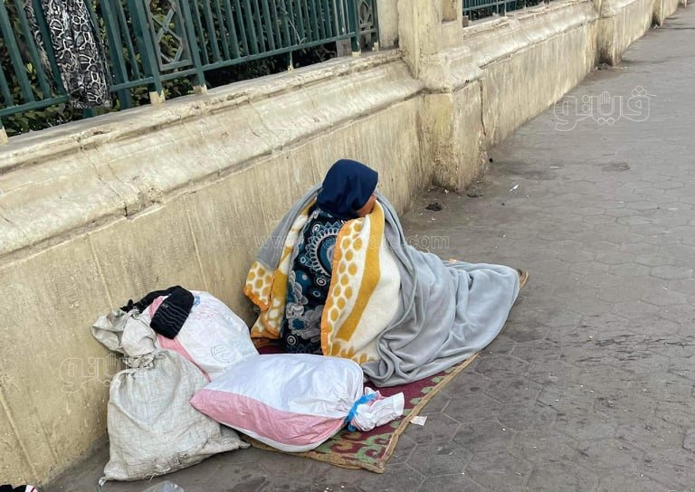 طقس بارد يضرب الجيزة والقاهرة (5)