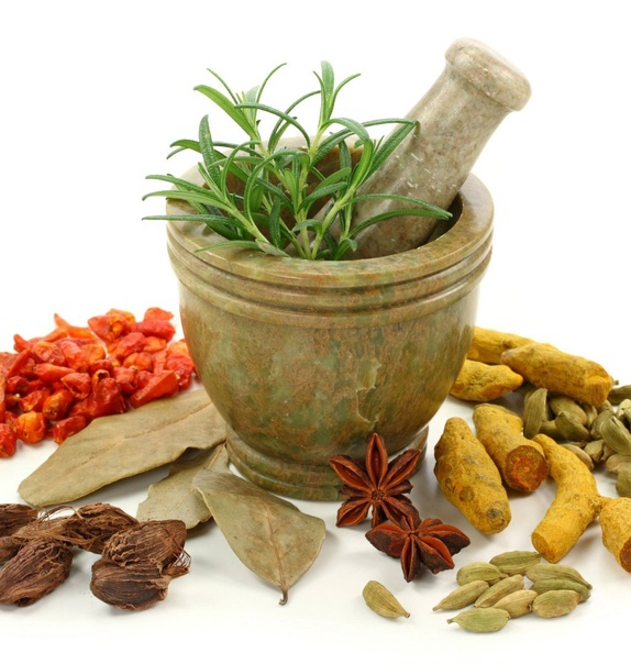 علاج جرثومة المعدة بالأعشاب
