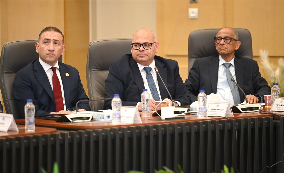 لقاء وزير الصناعة مع المجلس الاستشاري الرئاسي لعلماء وخبراء مصر