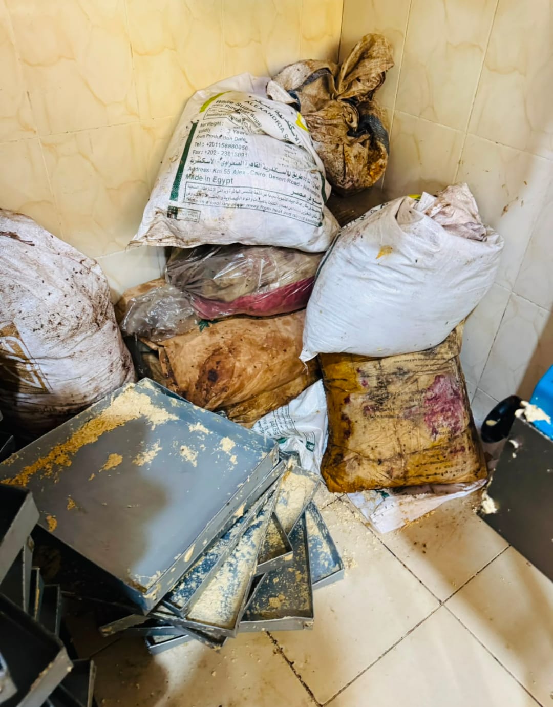 صحة القليوبية. فيتو