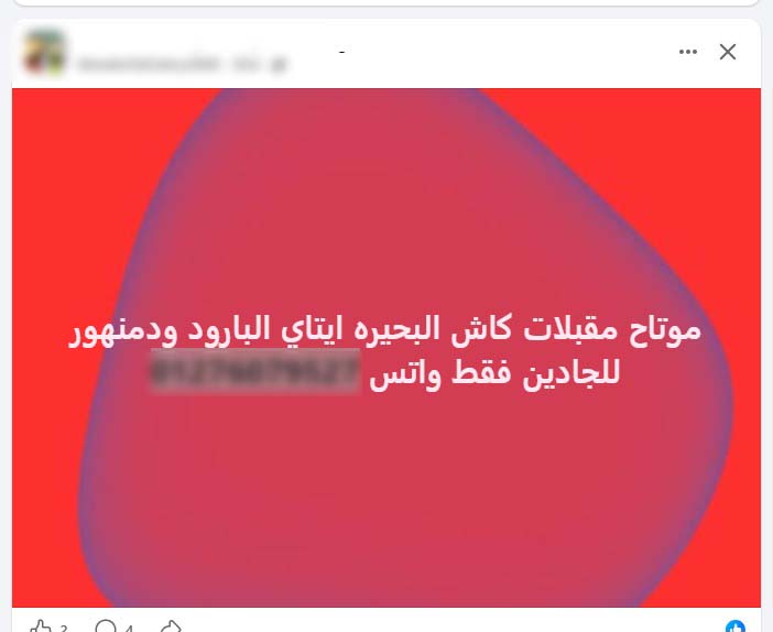 “تحويل الفلوس مقدما علي فودافون كاش”، عملية نصب إلكترونية على راغبي ممارسة الدعارة، فيتو