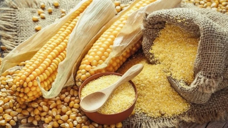 أسعار الأعلاف والحبوب اليوم في الأسواق، فيتو
