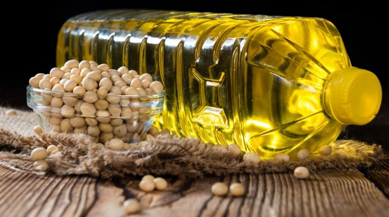 أسعار الزيت اليوم، فيتو