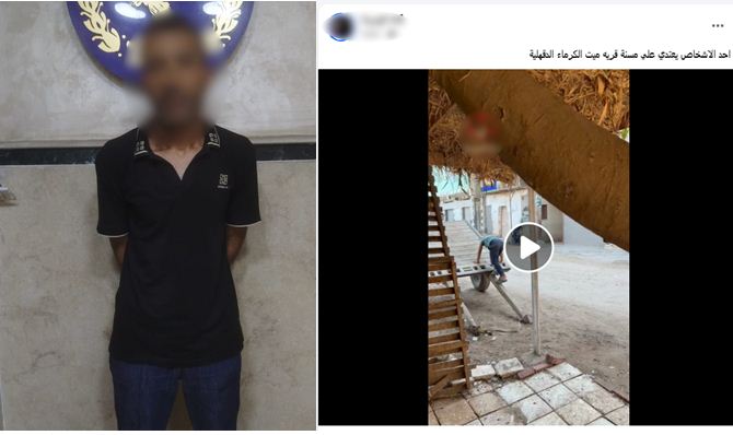الاعتداء على مسنة في طلخا.. خلاف على قرض مالي ينتهي بإصابة سيدة سبعينية