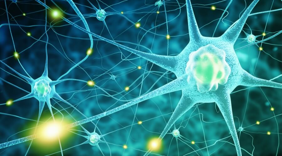 أكلات مهمة للحفاظ على صحة الجهاز العصبى