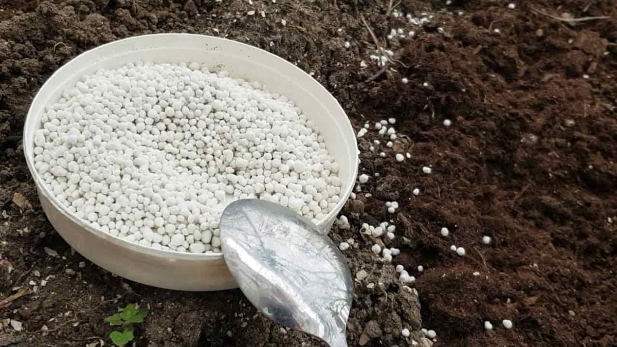 أسعار السماد اليوم، فيتو