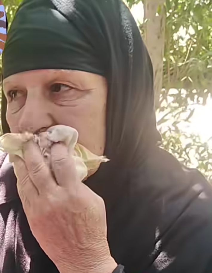 صرخة أم بعد مقتل ابنها على يد شقيقه في معركة السلايف.