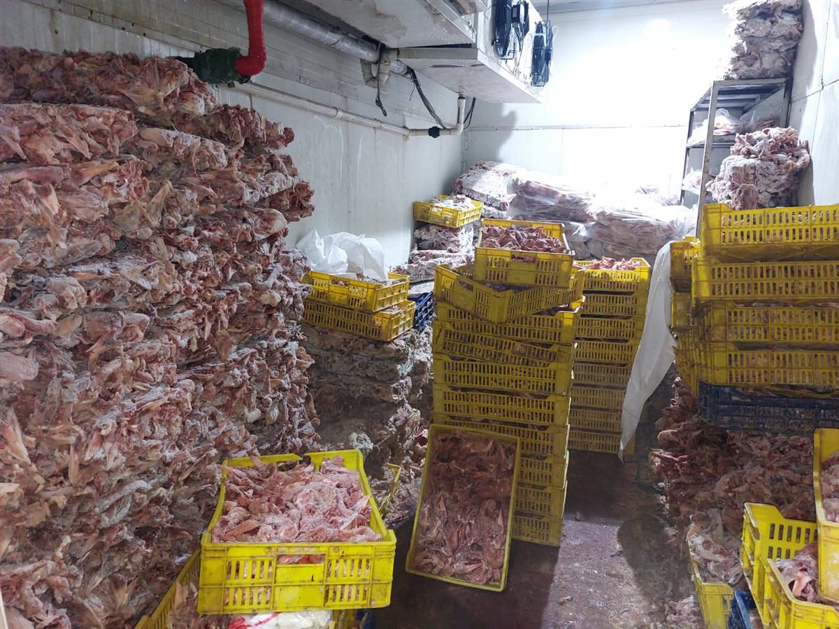 ضبط 28 طن لحوم وأغذية فاسدة و36 ألف زجاجة مشروبات طاقة مجهولة المصدر بالجيزة