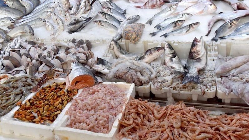 أسعار السمك اليوم، فيتو
