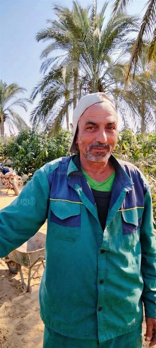 ضحية الحادث،فيتو