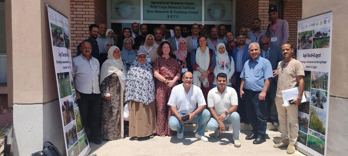 «الزراعة» و«البحث العلمي» تستمعان للمزارعين لتوجيه الابتكار نحو حلول تخدم الحقل&nbsp;