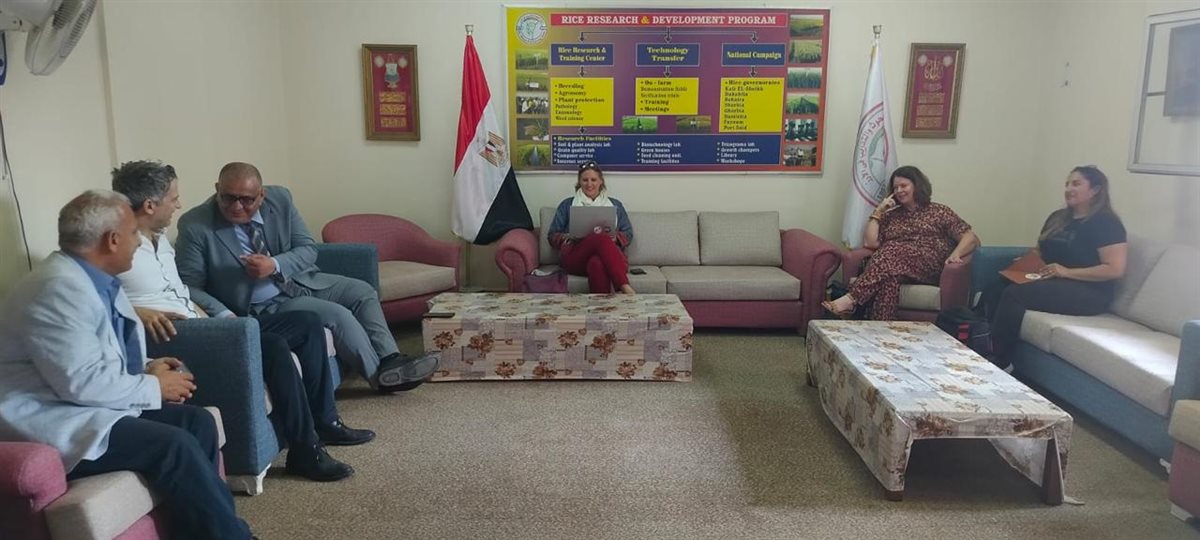 «الزراعة» و«البحث العلمي» تستمعان للمزارعين لتوجيه الابتكار نحو حلول تخدم الحقل&nbsp;