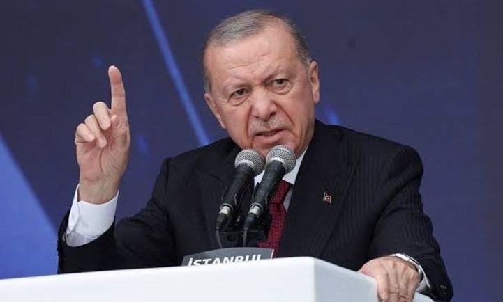 أردوغان، فيتو